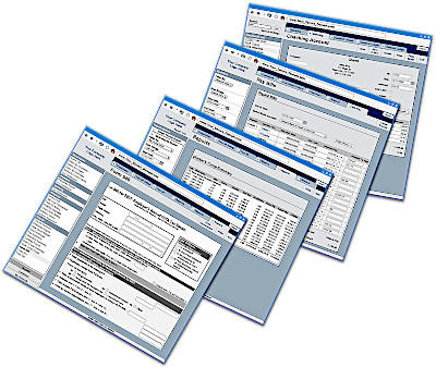 screenshots of custom web-based accounting software
